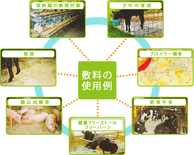 敷料の使用例　採卵鶏の軟便対策　子牛の育成　馬房　ブロイラー鶏舎　踏込式豚舎　飼育牛舎　酪農フリーストールフリーバーン